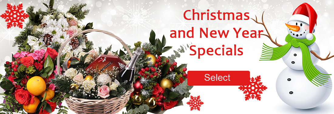 Christmas and New Year Specials